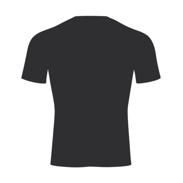 Men's Raglan Sleeve Sports Tee - Image 2